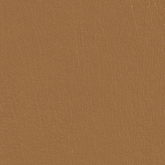 Colorguard Bucksuede NFR 540561 full roll, light brown leatherette texture.