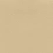 Independence Camel leather swatch: light beige color.