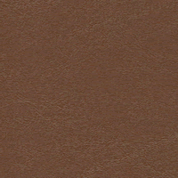Windsong Cappuccino: Rich brown textured leather swatch
