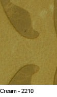 Celtico Cream 2210 Premium Leather texture detail