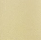 VLST-24 Corinthian Cappuccino Cream paint swatch: warm, creamy beige.
