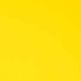 Seabrook D Action Yellow SBD-146: Vibrant yellow paint swatch