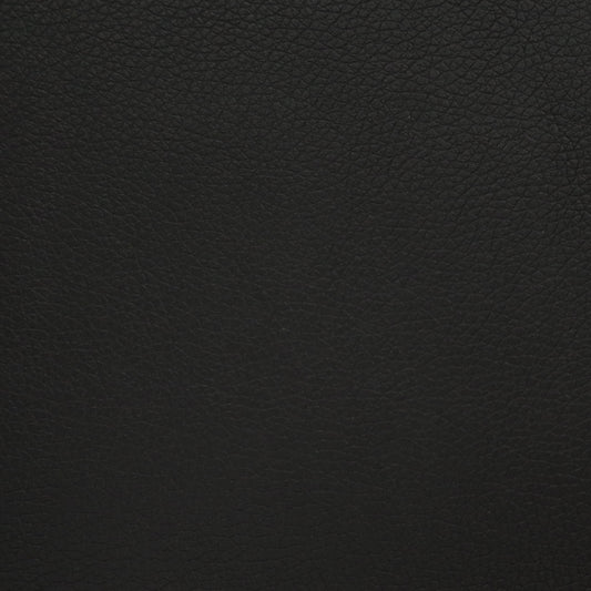 VLD50 Denali Black Dynasty: Close-up of textured black leather.