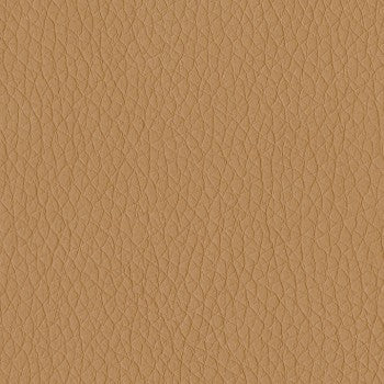 Dillon Luggage Contract Polyurethane Fabric, light brown, textured finish.