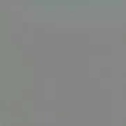 Independence Dove:  A sophisticated, light grey paint color swatch.