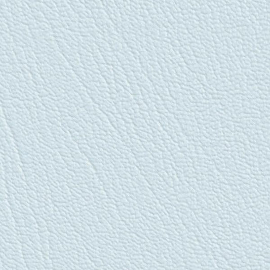 Colorguard Dream NFR 543806 light blue leather full roll