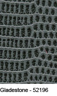 Everglades Gladstone 52196 Premium Leather texture: gray alligator embossed pattern.