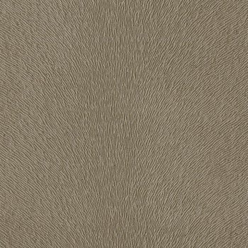 Feather Grain Dusty wallpaper: taupe textured fabric with radiating lines.