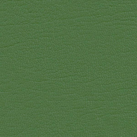 Colorguard Grass NFR 543808 full roll: textured green vinyl fabric