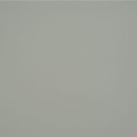 Prodigy Grey PRO-699: Light grey, textured surface.