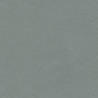 Lunar Harbor Gray: sophisticated gray paint color swatch