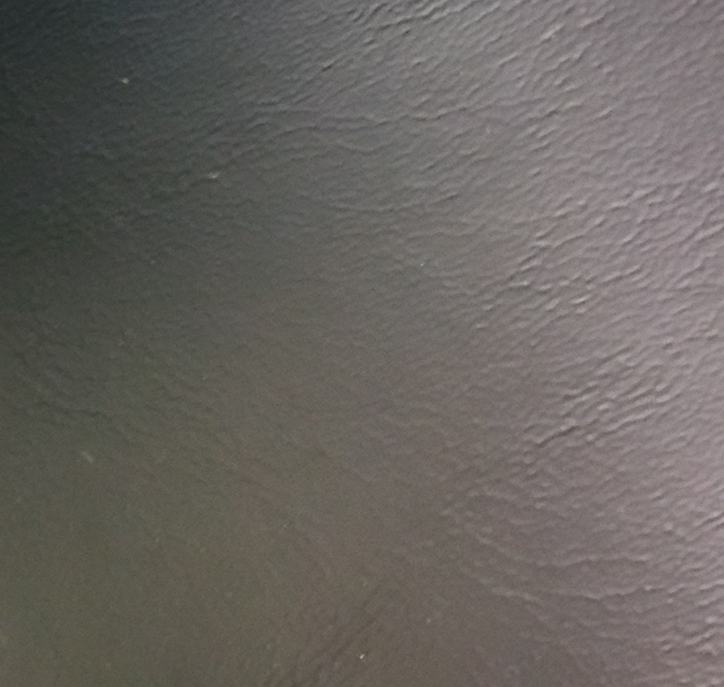 Ring 6097 Original Harley-Davidson Vinyl texture
