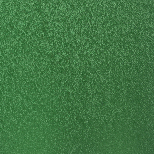 Nassimi Esprit Irish Spring: Rich green textured leather swatch.