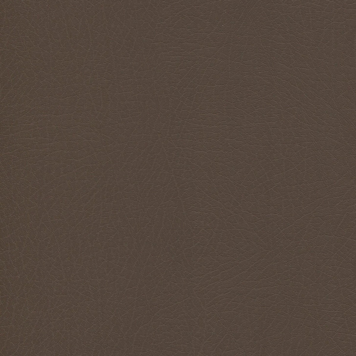 Vaquero Jasper VAQ1024: Dark brown textured vinyl fabric swatch.