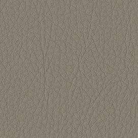 Prodigy Light Sandalwood PRO-685:  Light gray textured vinyl with wood grain embossing.
