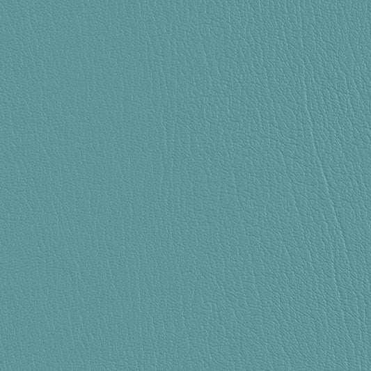 Colorguard Light Teal NFR 540578 vinyl fabric roll