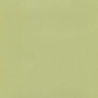 Lime green brushed aluminum sheet.