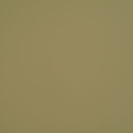 Prodigy Light Neutral PRO-682: Light beige paint swatch.