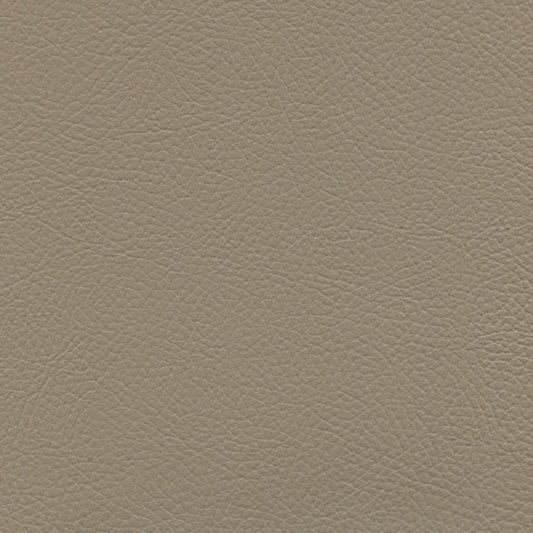 Verona Med Light Stone VRS7528: Light taupe leather upholstery texture.
