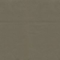 Lunar Medium Neutral: A versatile, medium-toned taupe paint color sample.