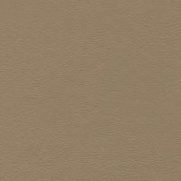 G-Grain Medium Parchment vinyl sample: light taupe, textured finish.