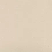 Independence Moonstone: Soft, creamy off-white paint color sample.