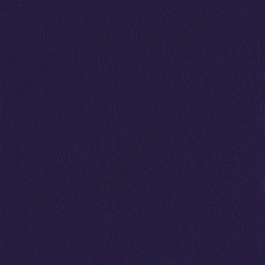 Colorguard New Purple NFR 542152 vinyl full roll
