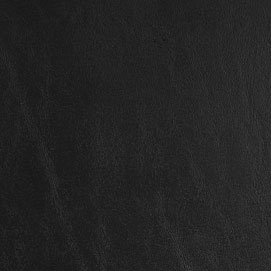Catalina Orca Black CL-513 leather: rich black texture