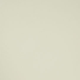 Newport Oyster White NR-302 #4016 paint swatch
