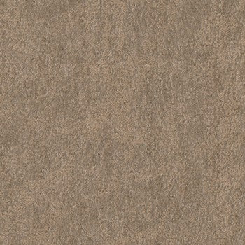 Palance Silt: Textured taupe surface sample