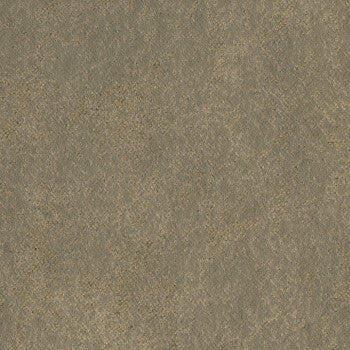 Palance Thicket: Textured, neutral-toned surface sample.