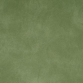 Yorktown Pale Green YT-208 leather swatch