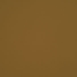 Prodigy Paprika PRO-688, rich brown color swatch