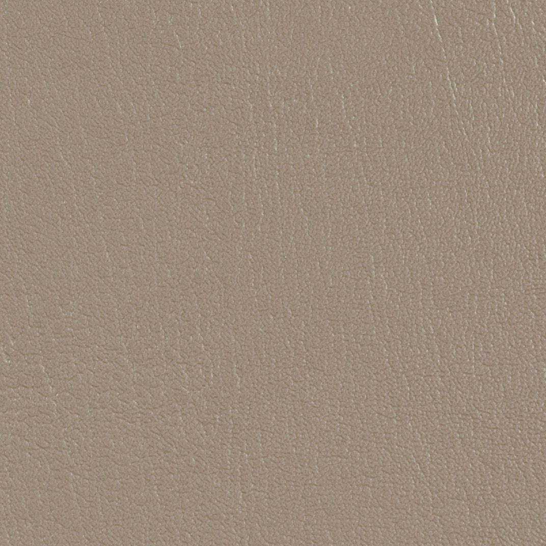 Colorguard Pumice NFR 540046 full roll, taupe textured vinyl fabric