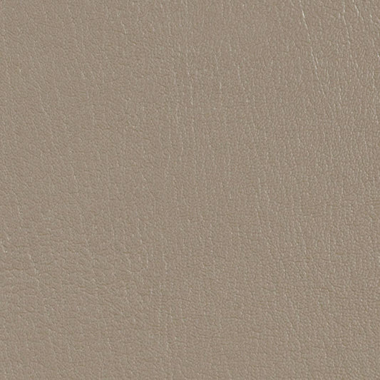 Colorguard Pumice NFR 540046 full roll, taupe textured vinyl fabric