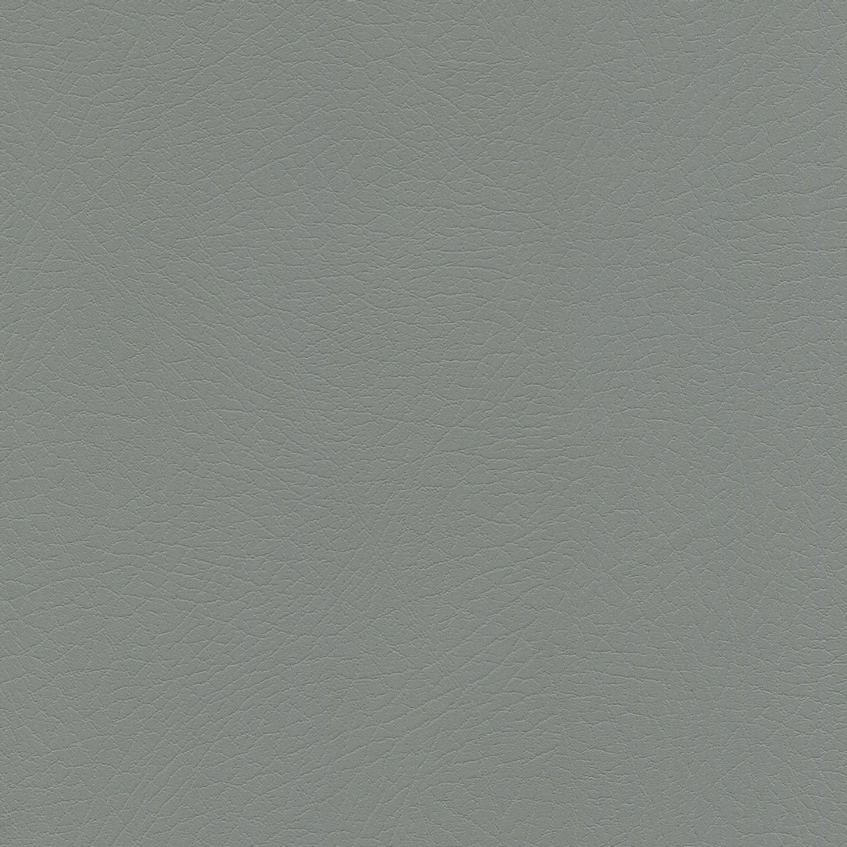 Vaquero Pyrite VAQ1040 gray leather texture