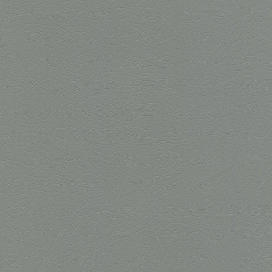 Vaquero Pyrite VAQ1040 gray leather texture