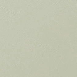AL894 Allante Meadow RING #6083: Pale green leather swatch.