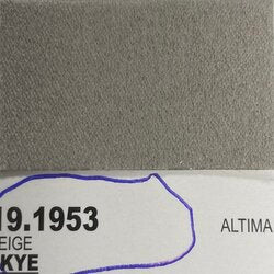 1791 Altima Sky Beige 19.1953 automotive paint swatch