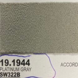 1785 Platinum Gray SW322B paint chip: Accord 19.1944 color swatch
