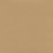 Independence Sand: Light beige sand texture