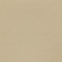 Armada Sand Dune ARM-118 vinyl fabric sample: light beige, textured finish.