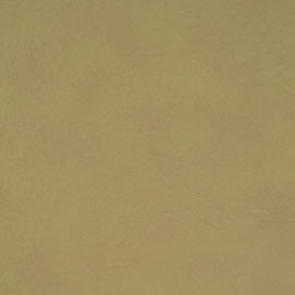 Biscayne BI-116 Biscayne Sand Tan leather swatch