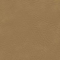 Tradewinds Plus Sandpointe vinyl upholstery in light brown.