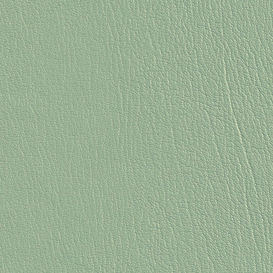 Colorguard Seafoam NFR 540577 full roll: textured seafoam green vinyl fabric.