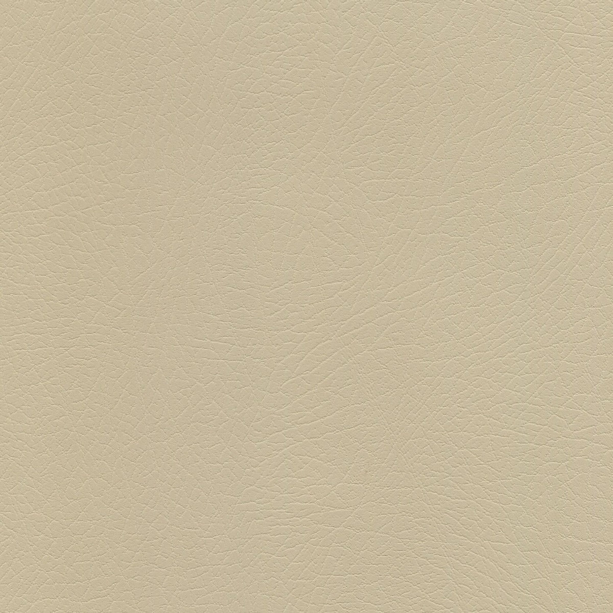 Vaquero Smokey Quartz VAQ1044 leather texture, light beige