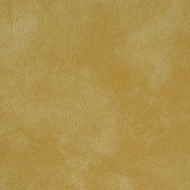 Yorktown Squash YT-202: Golden-hued squash racquetball texture.