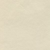 Lunar Stinger Cream: Off-white, textured cream