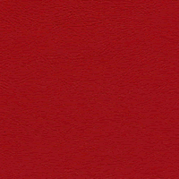 Windsong Tropical Red fabric swatch