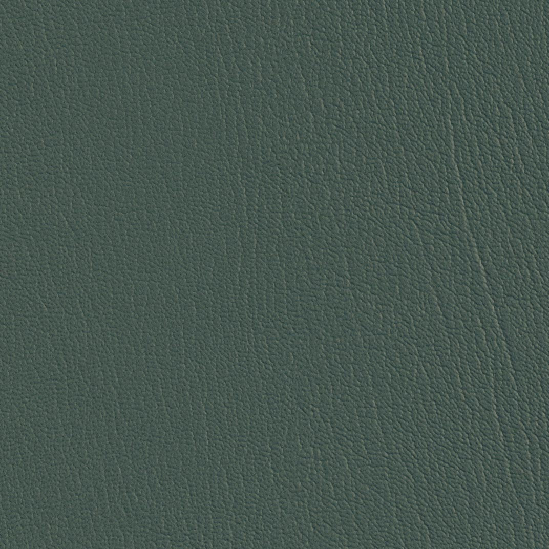 Colorguard Vizcaya Palm NFR 540826 full roll, dark teal leather-look vinyl.